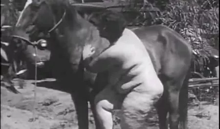 règles film adulte soft 6